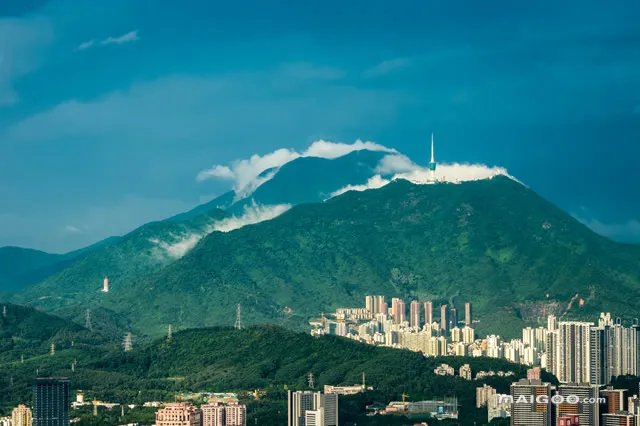 深圳十大城市名片 代表家乡深圳的名片是什么 展示鹏城魅力城市形象