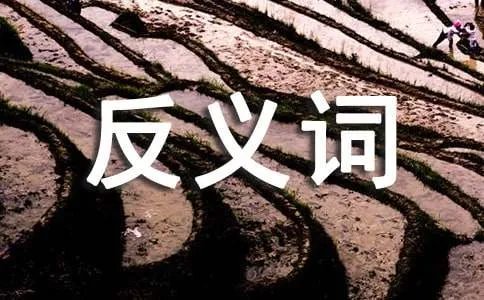 若无其事的反义词