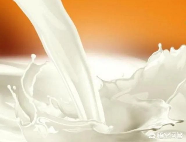 豆浆可不可以代替牛奶？你怎么看？