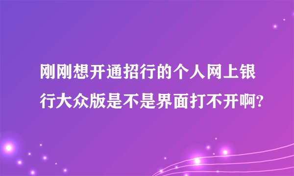 刚刚想开通招行的个人网上银行大众版是不是界面打不开啊?