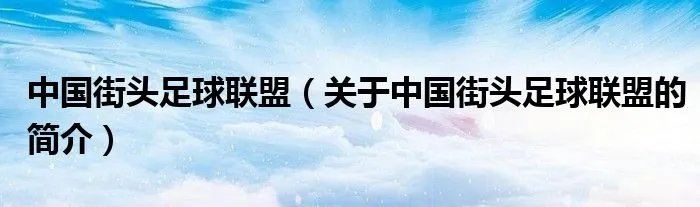 中国街头足球联盟（关于中国街头足球联盟的简介）