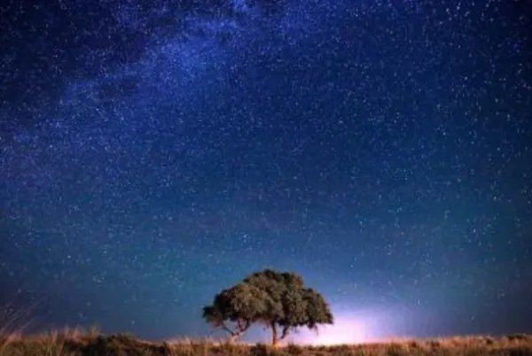 我喜欢夏天的夜晚写一段话?