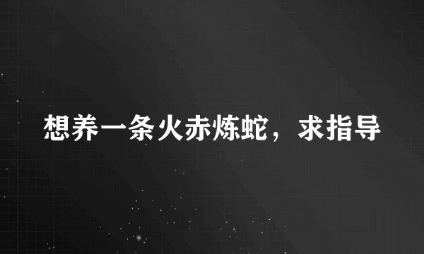 想养一条火赤炼蛇，求指导