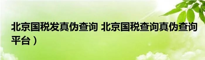北京国税发真伪查询 北京国税查询真伪查询平台）