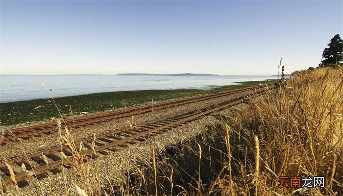 火车和铁轨哪个最先被发明出来