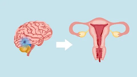 红血丝能治好吗