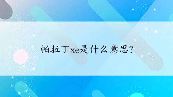 帕拉丁xe是什么意思？