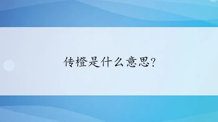 传橙是什么意思？