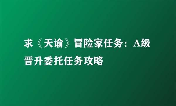 求《天谕》冒险家任务：A级晋升委托任务攻略