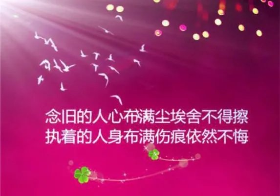 宋韶华楚向哲重生80年代小说 女主宋韶华男主楚向哲全文阅读