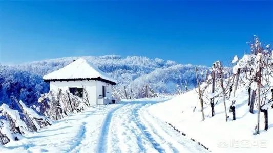 最冷的冬天是怎样的呢?