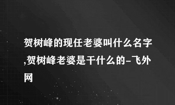 贺树峰的现任老婆叫什么名字,贺树峰老婆是干什么的-飞外网
