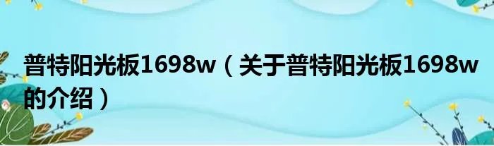 普特阳光板1698w（关于普特阳光板1698w的介绍）
