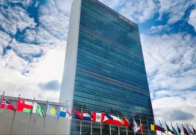 美国正式提出退出世卫组织,意味着什么,世界抗疫会出现怎样的结果?