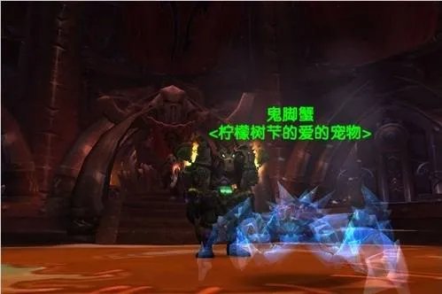 魔兽世界猎人稀有宠物有哪几只 tbc猎人稀有宠物一览