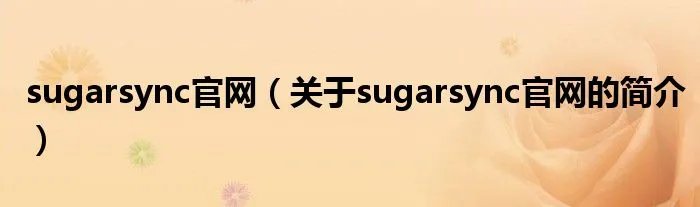 sugarsync官网（关于sugarsync官网的简介）