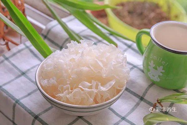 雾霾天气吃什么好