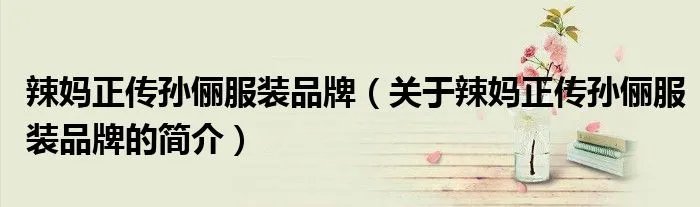 辣妈正传孙俪服装品牌（关于辣妈正传孙俪服装品牌的简介）