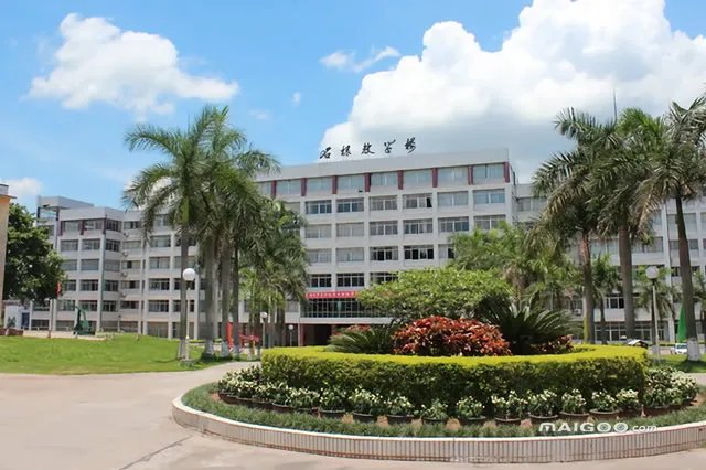云浮有哪些大学 云浮市大学排名 云浮大学名单一览【大学名录】
