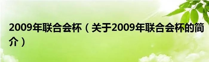 2009年联合会杯（关于2009年联合会杯的简介）