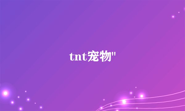 tnt宠物