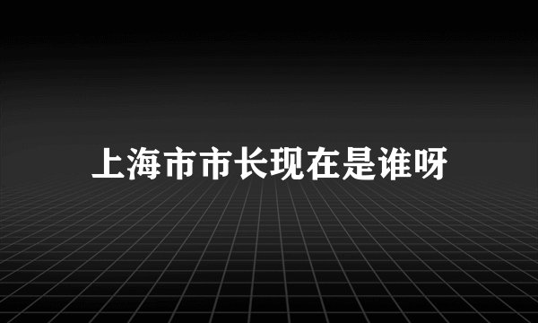 上海市市长现在是谁呀