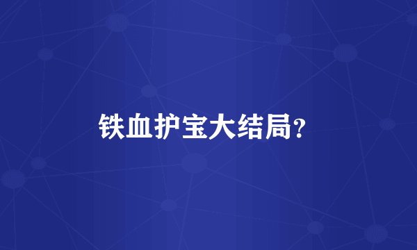 铁血护宝大结局？