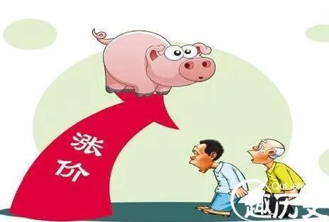 猪肉价格惊动世界  网友：老百姓快改吃土了