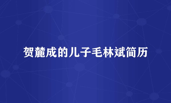 贺麓成的儿子毛林斌简历
