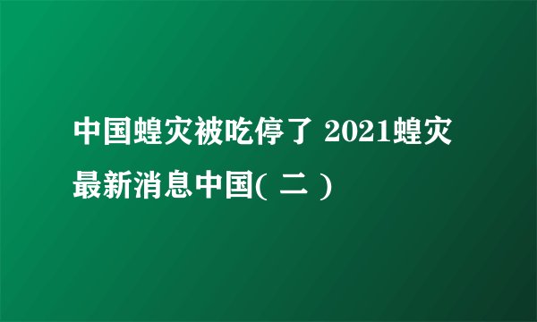 中国蝗灾被吃停了 2021蝗灾最新消息中国( 二 )