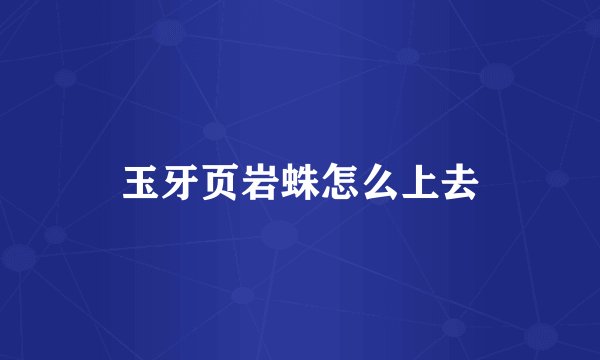玉牙页岩蛛怎么上去