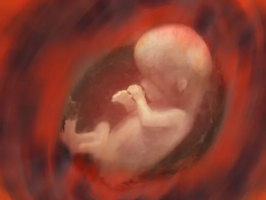 胎教课程主要有哪些