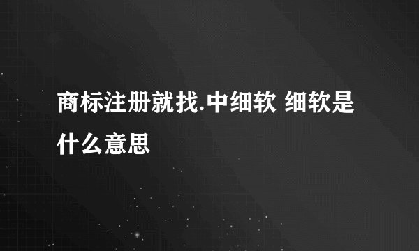 商标注册就找.中细软 细软是什么意思