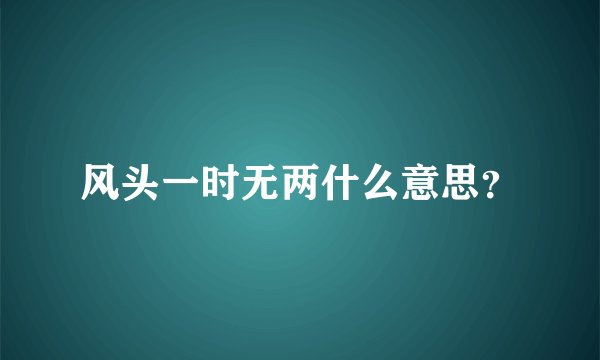 风头一时无两什么意思？