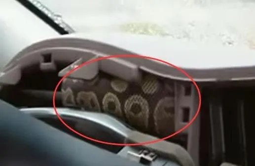 方向盘打不动，拆开瞬间傻眼【图集】