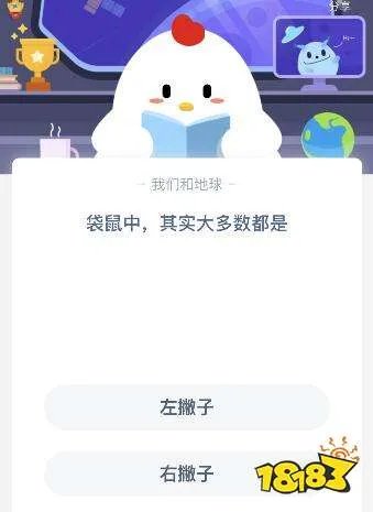 袋鼠中大多数都是左撇子还是右撇子 很多用户还不知道答案