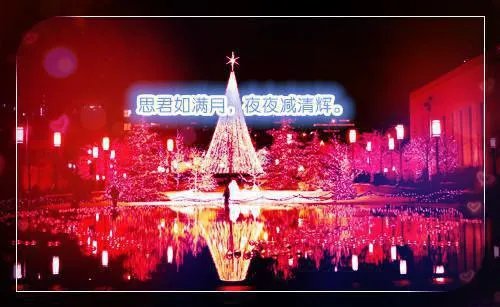 我们到此为止阮芯陆煜坤 我们到此为止全文阅读