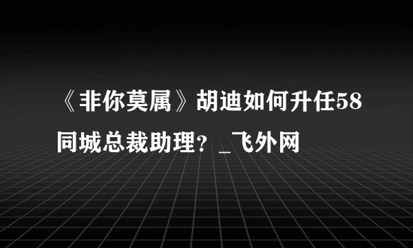 《非你莫属》胡迪如何升任58同城总裁助理？_飞外网