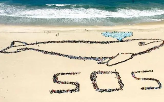 台州商人花270万从非洲包机回国治病，你看到是不是觉得很骄傲？