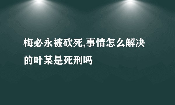 梅必永被砍死,事情怎么解决的叶某是死刑吗