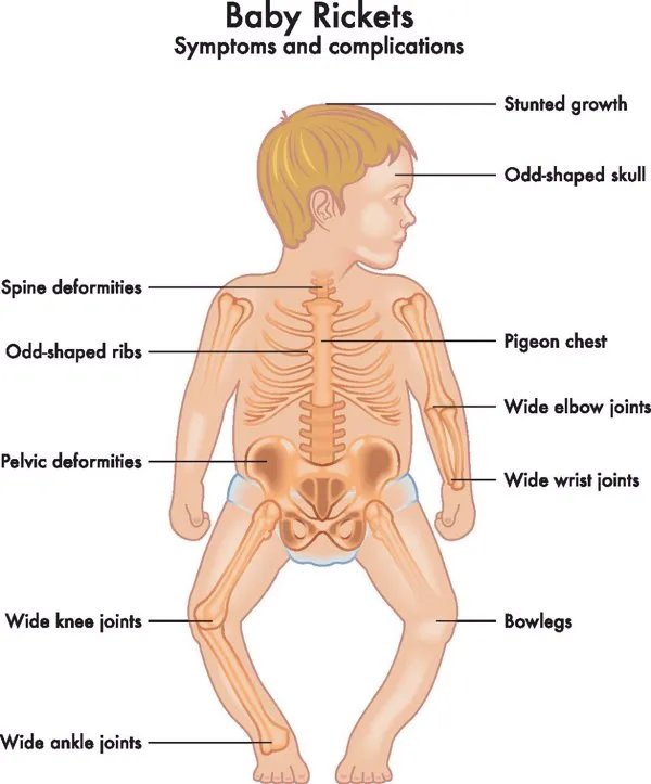 学生营养配餐的好处