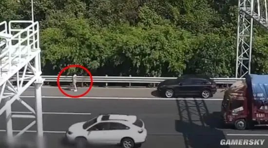 狗子晕车女子高速下车遛狗 交警对其进行处罚