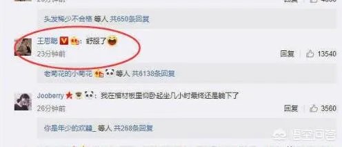 LPL“解说米勒评价RNG”，只有野辅可以，三C得换，Uzi问题很大，是这样吗？