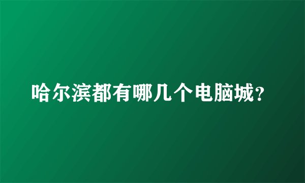 哈尔滨都有哪几个电脑城？