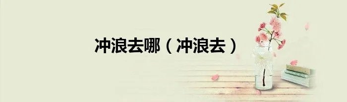 冲浪去哪（冲浪去）