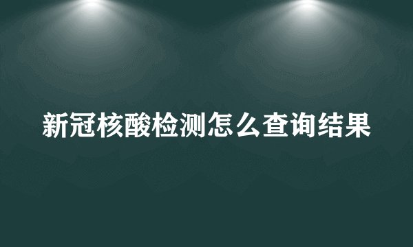 新冠核酸检测怎么查询结果