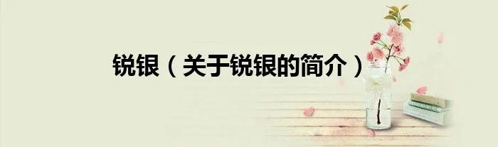 锐银（关于锐银的简介）