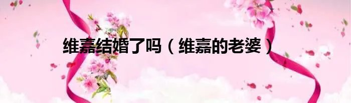 维嘉结婚了吗（维嘉的老婆）