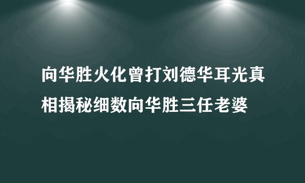 向华胜火化曾打刘德华耳光真相揭秘细数向华胜三任老婆