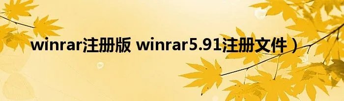 winrar注册版 winrar5.91注册文件）